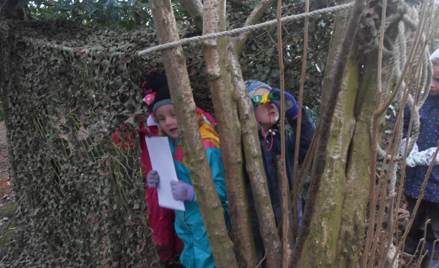 Image of Bird watching