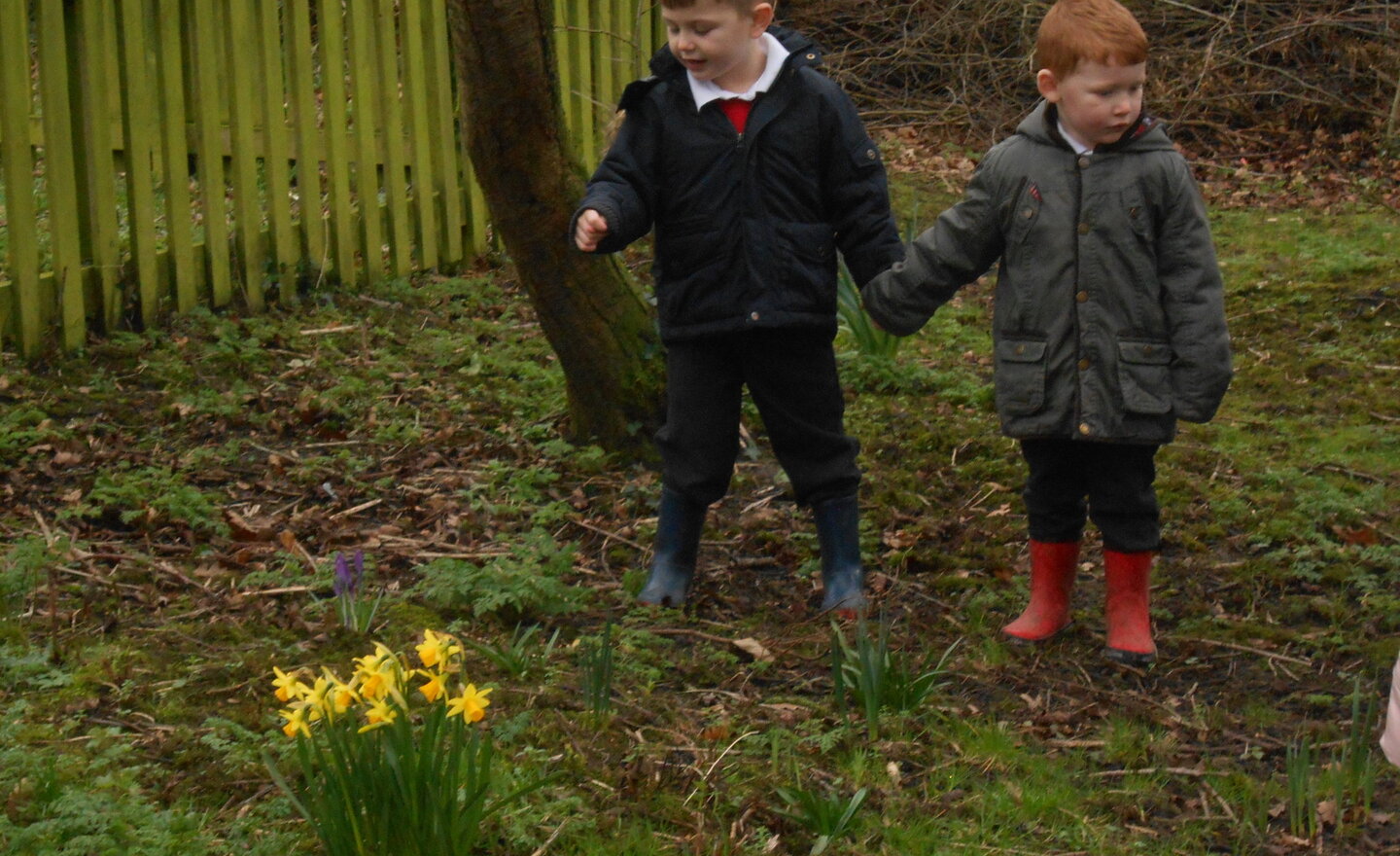 Image of Spring