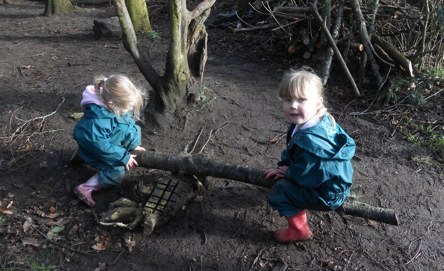 Image of Seesaw