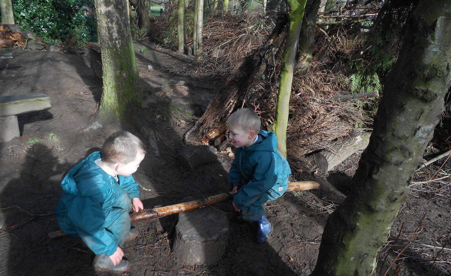 Image of See saw