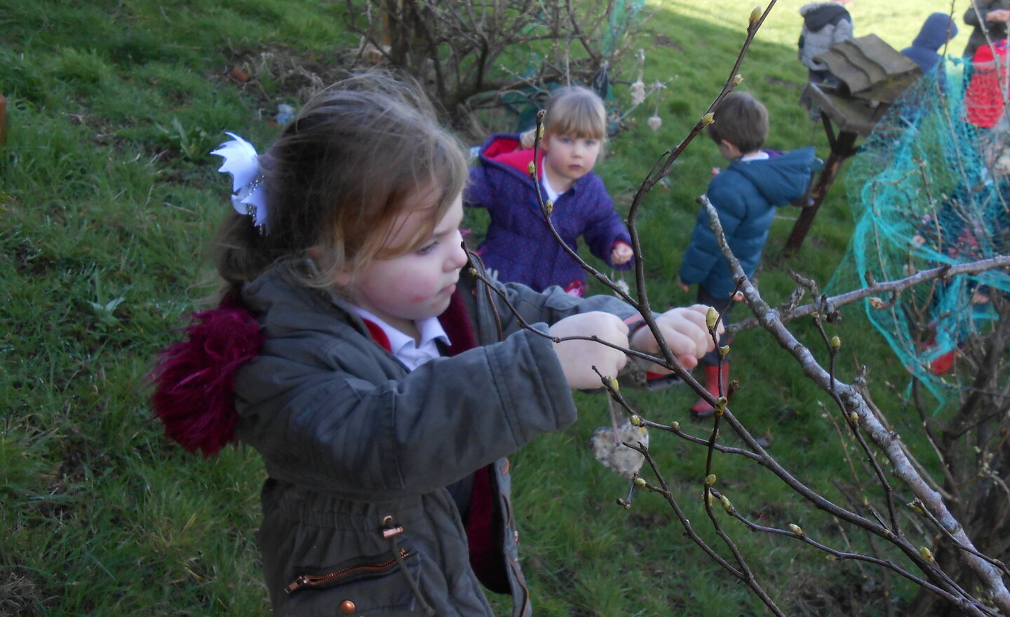 Image of Bird feeders