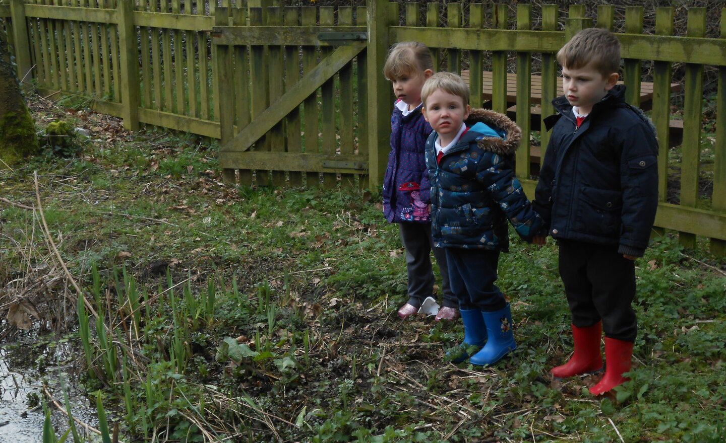 Image of Who can spot a frog?