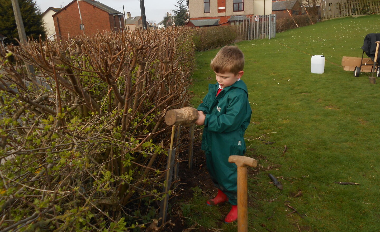 Image of Tree planting