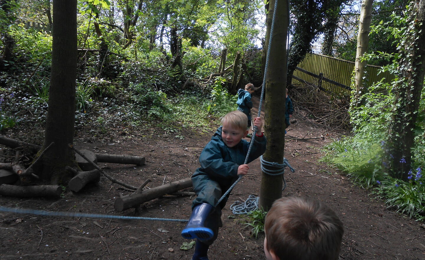 Image of Jack and the Bean Stalk
