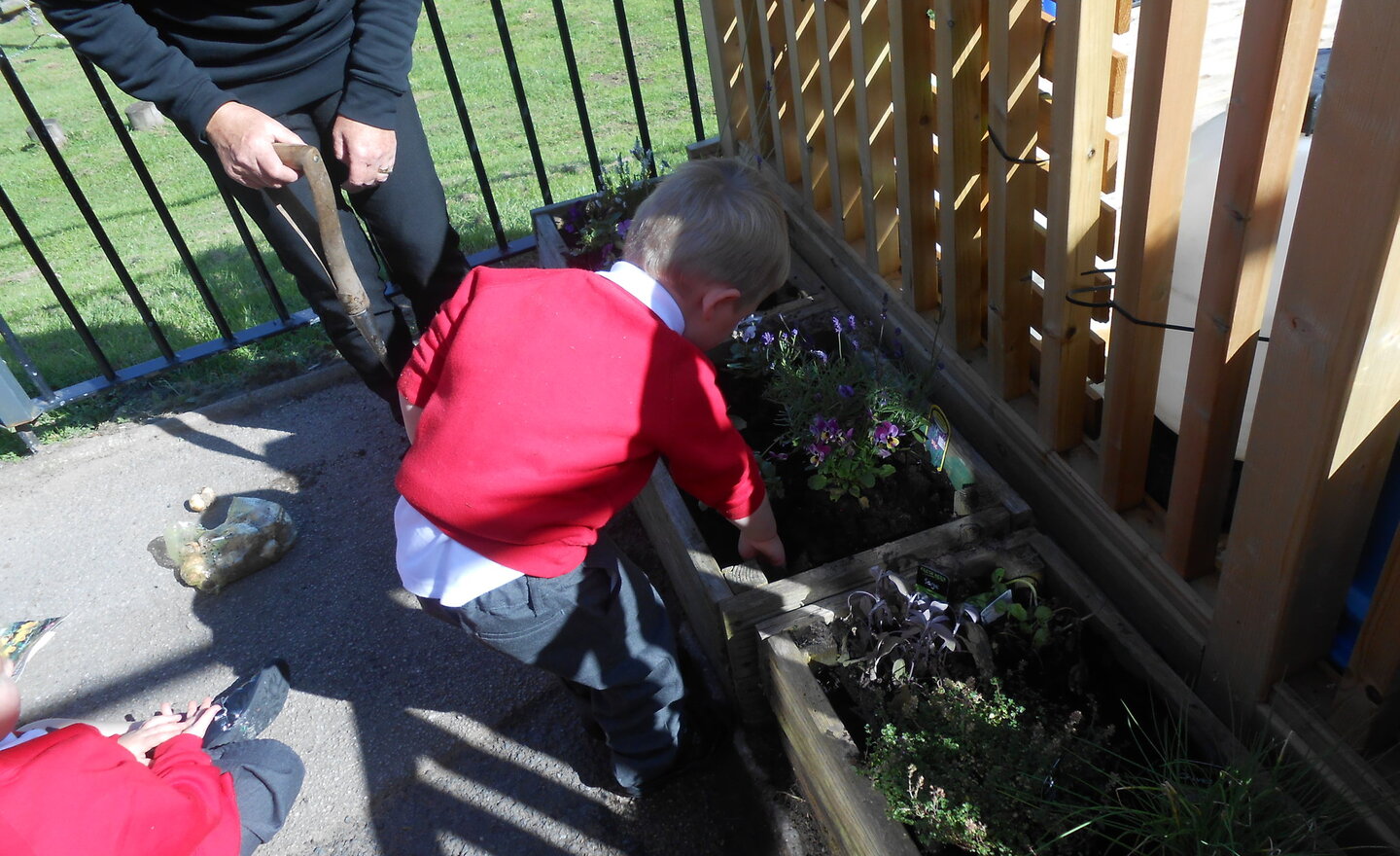 Image of Planting