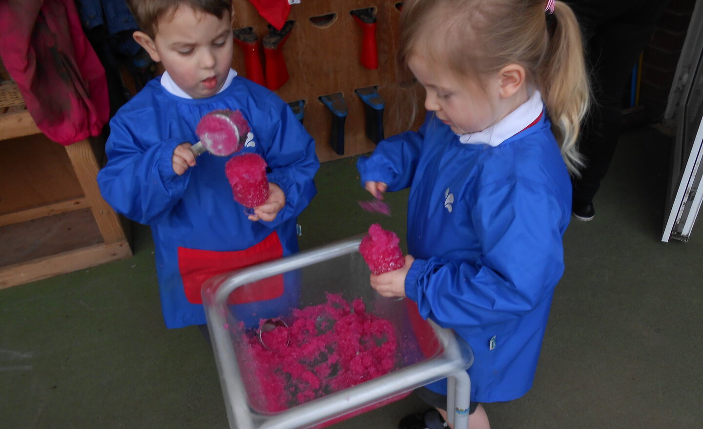 Image of Jelly investigation