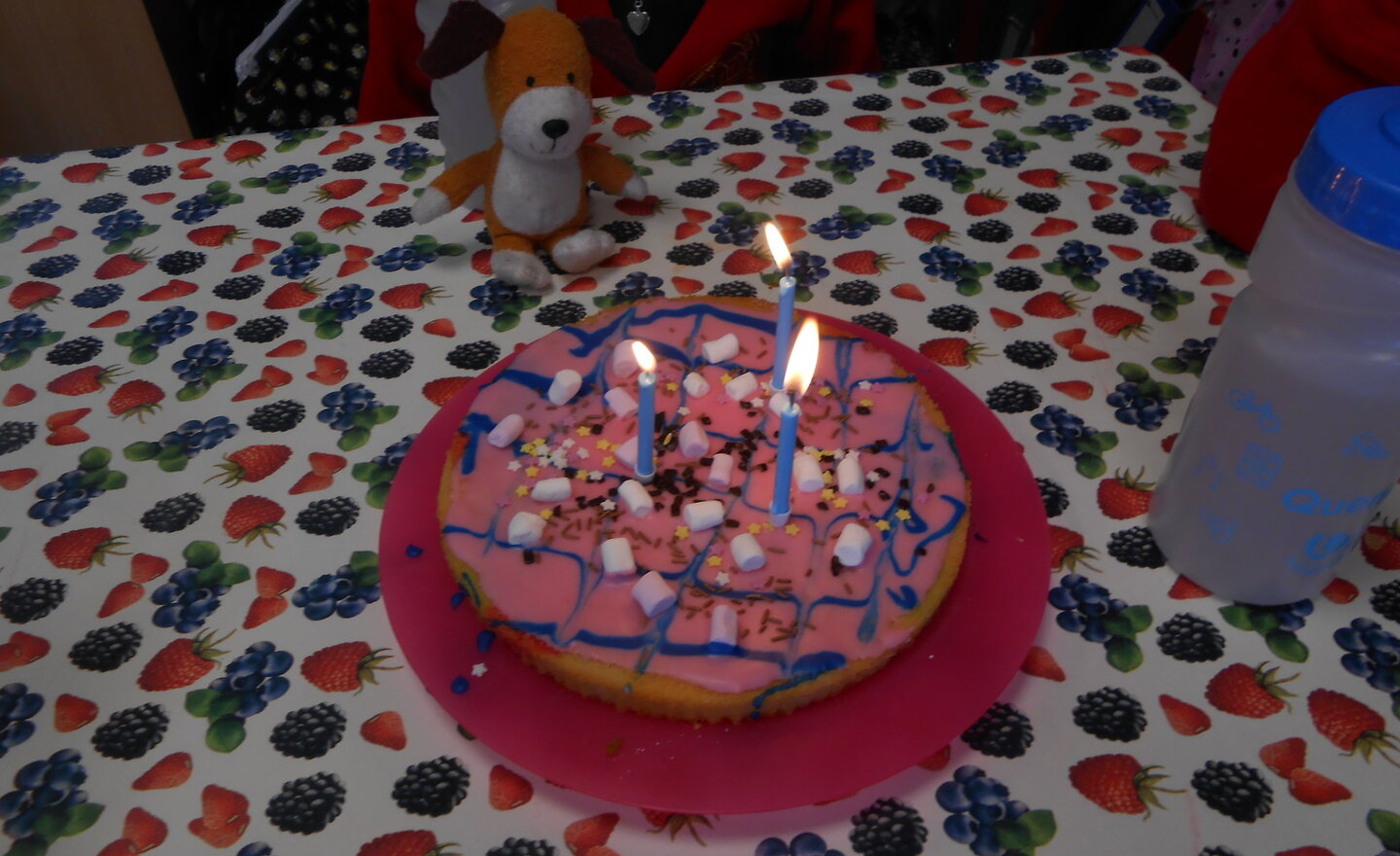 Image of Kipper's Birthday