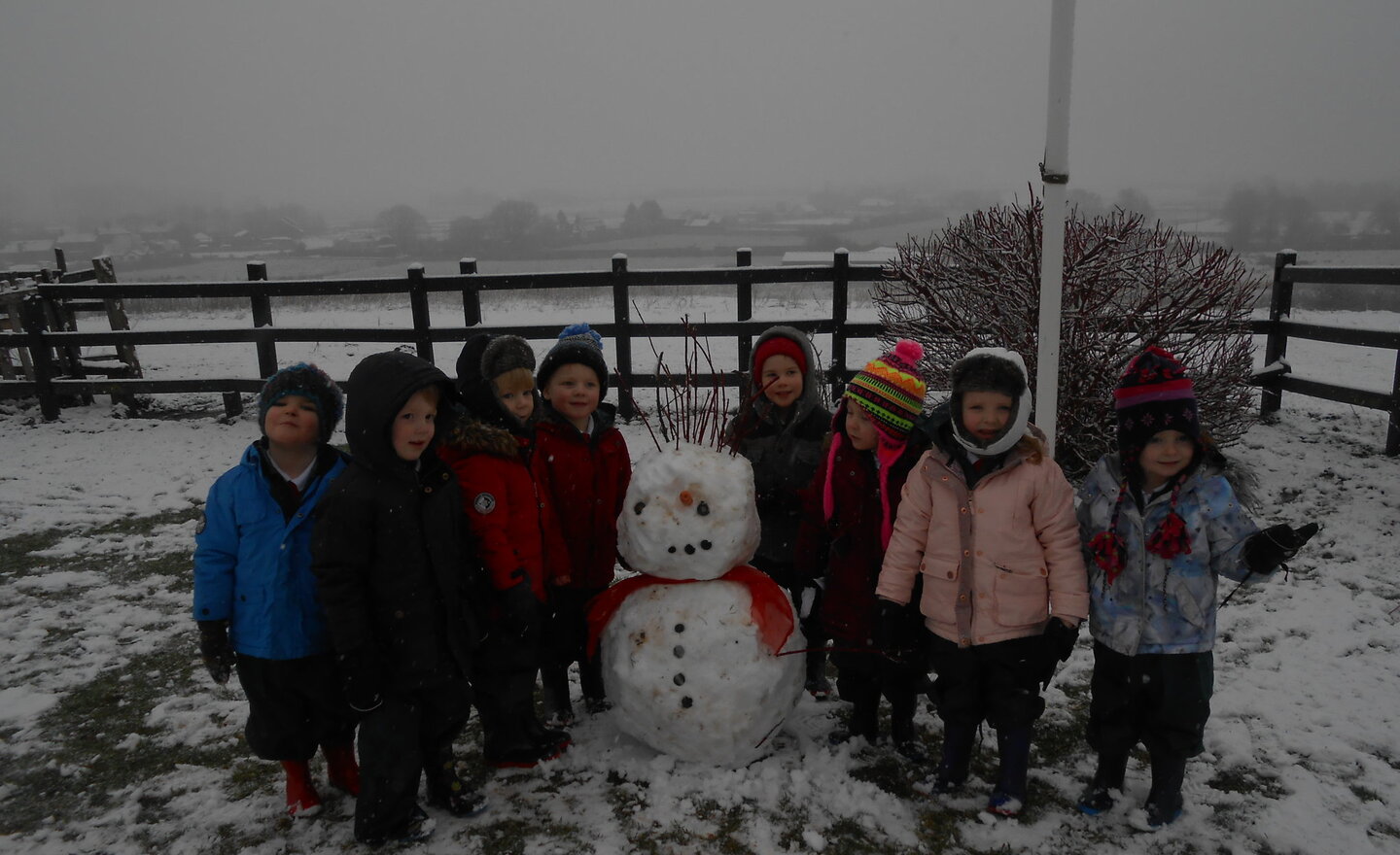 Image of Snow