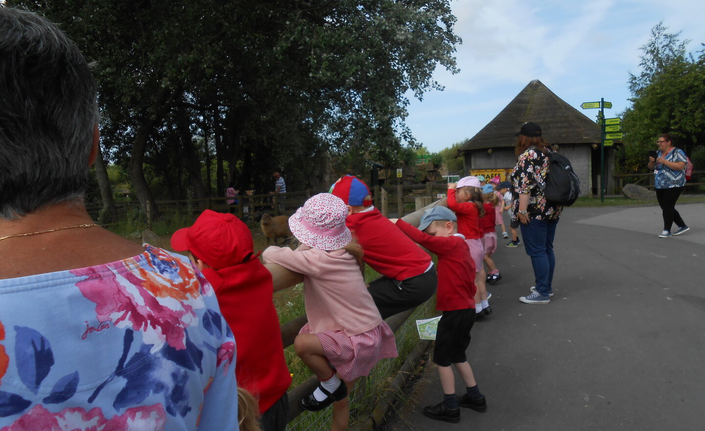 Image of zoo