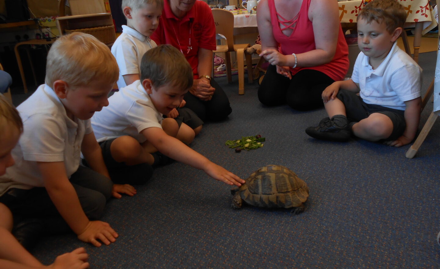 Image of Special visitor