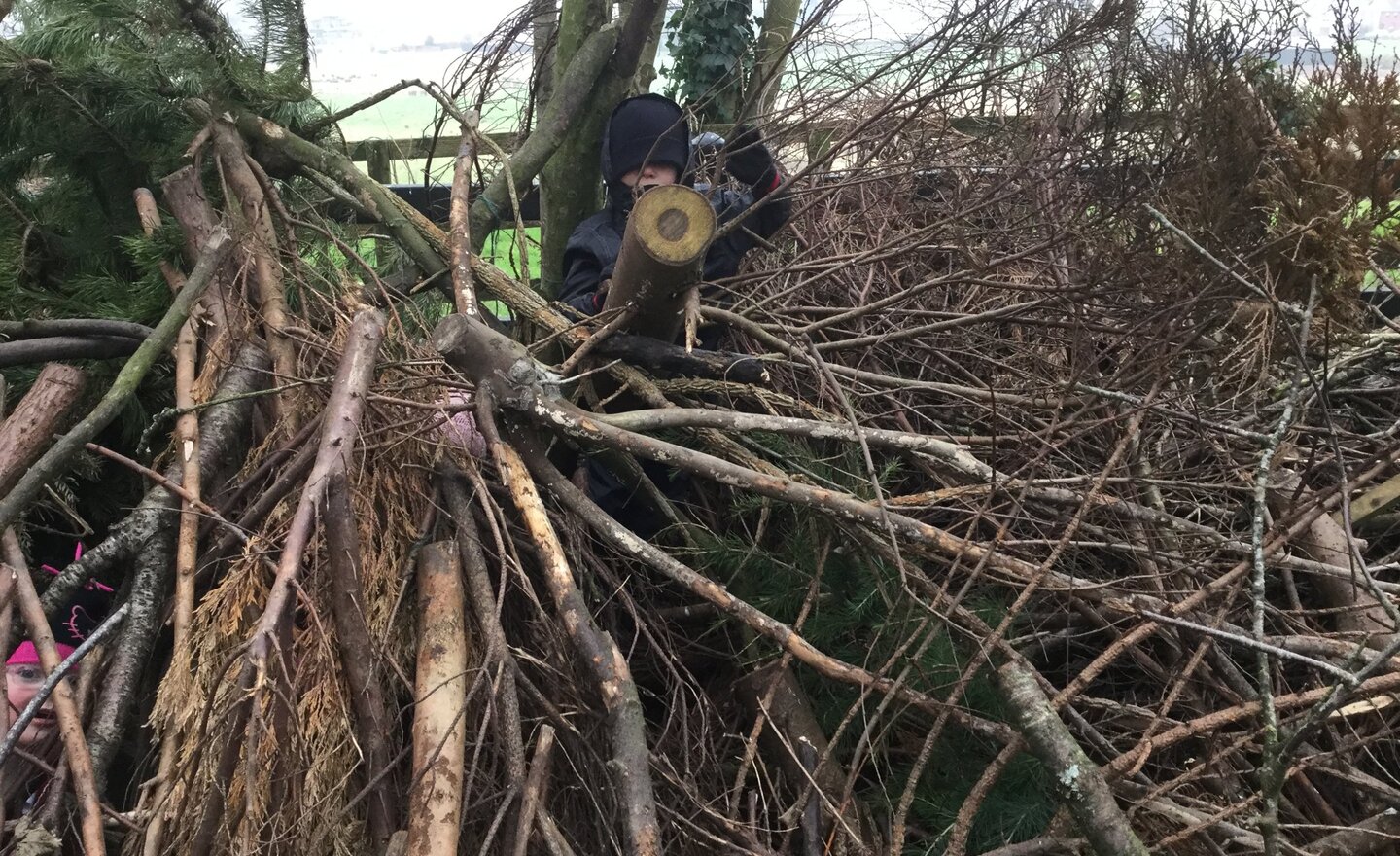 Image of Big den build