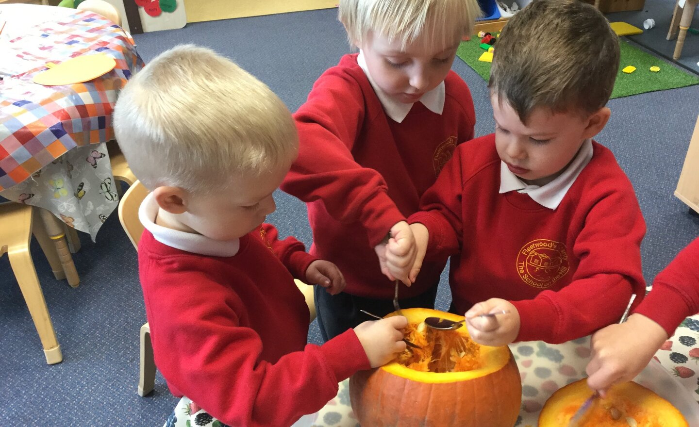 Image of Pumpkin investigation