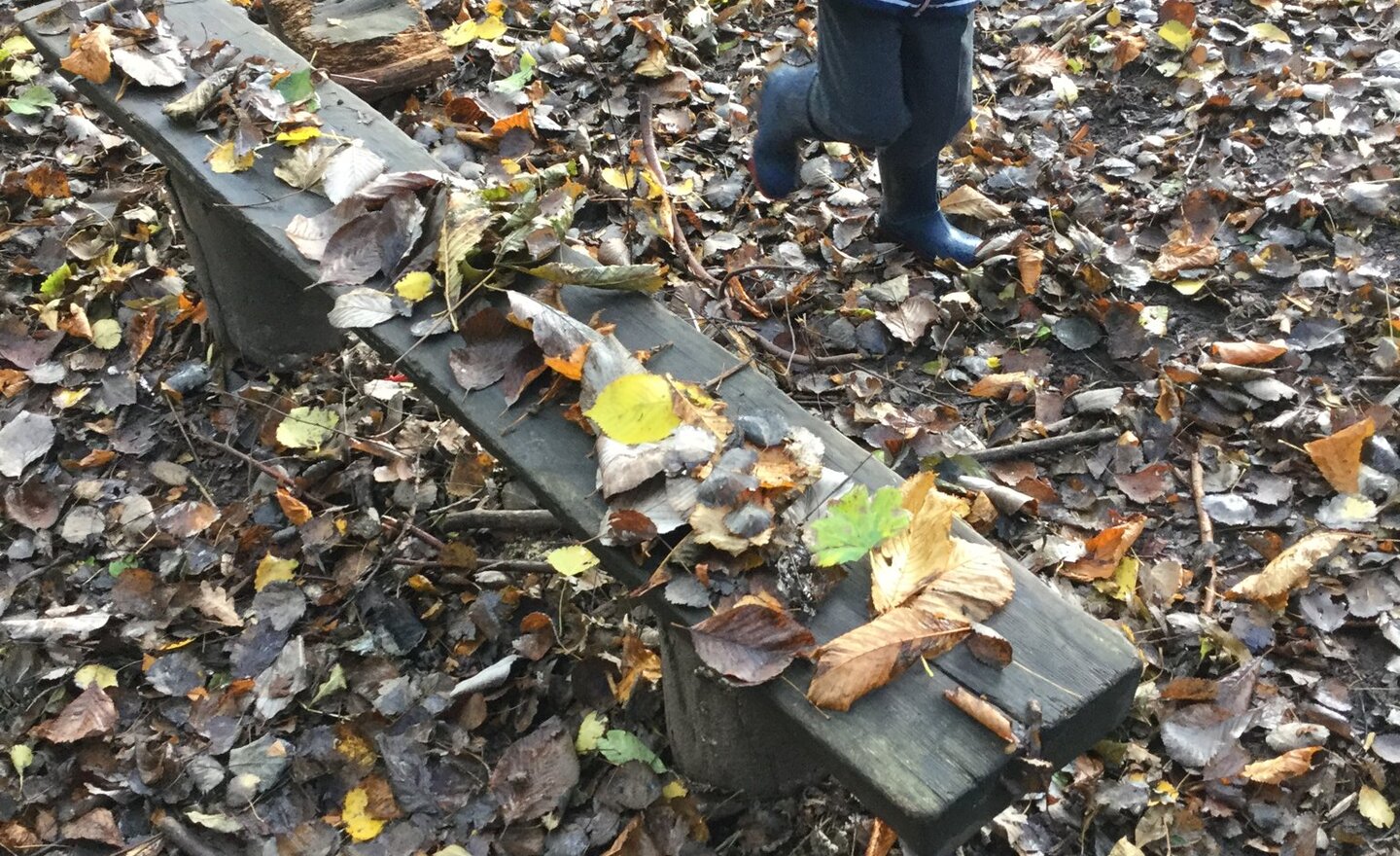 Image of leaf collecting