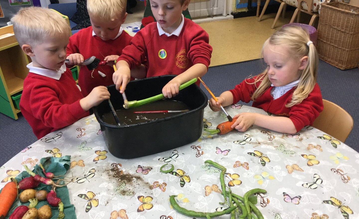 Image of Washing vegetables