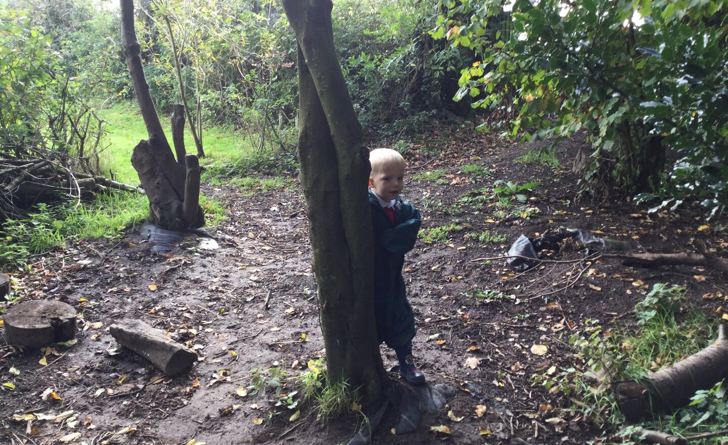 Image of Hide and seek