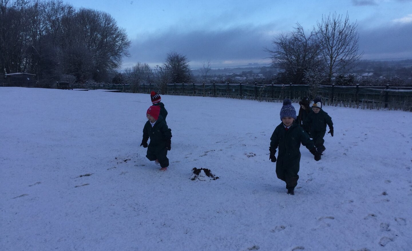 Image of Snowy day