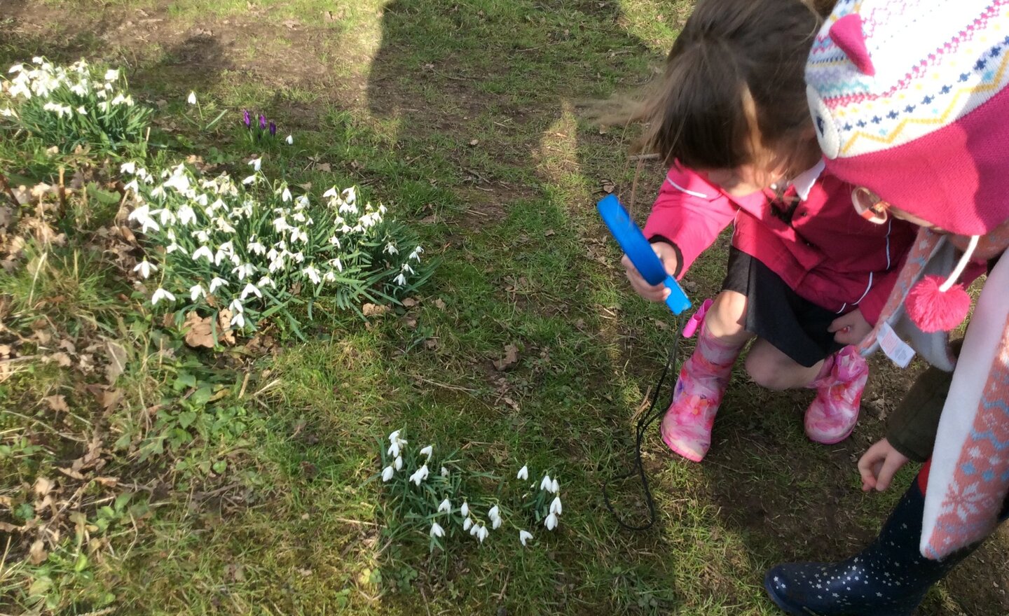 Image of Spring Walk