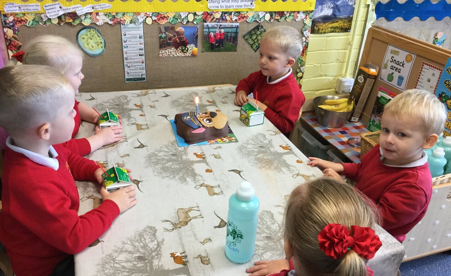 Image of Birthday Celebrations