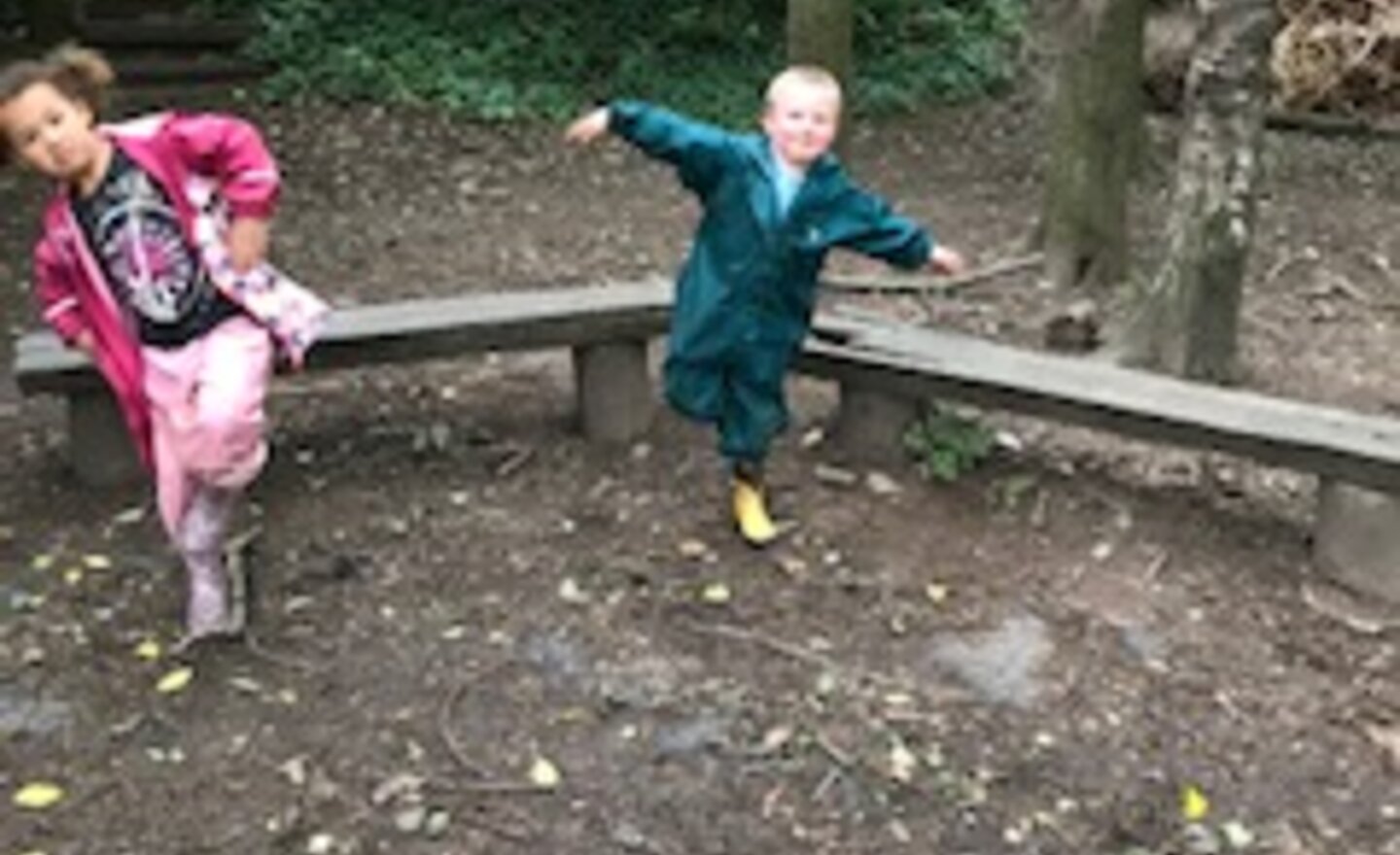 Image of Hopping and Balancing