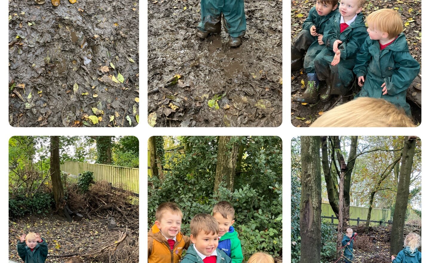 Image of Week 9 in Beech Class 