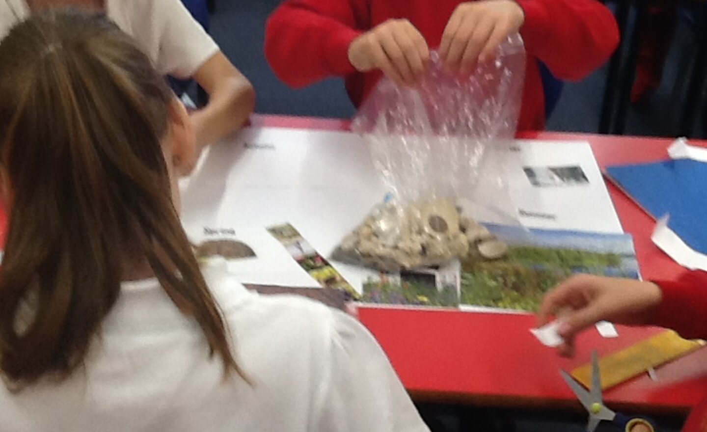 Image of Art Week - exploring seasons