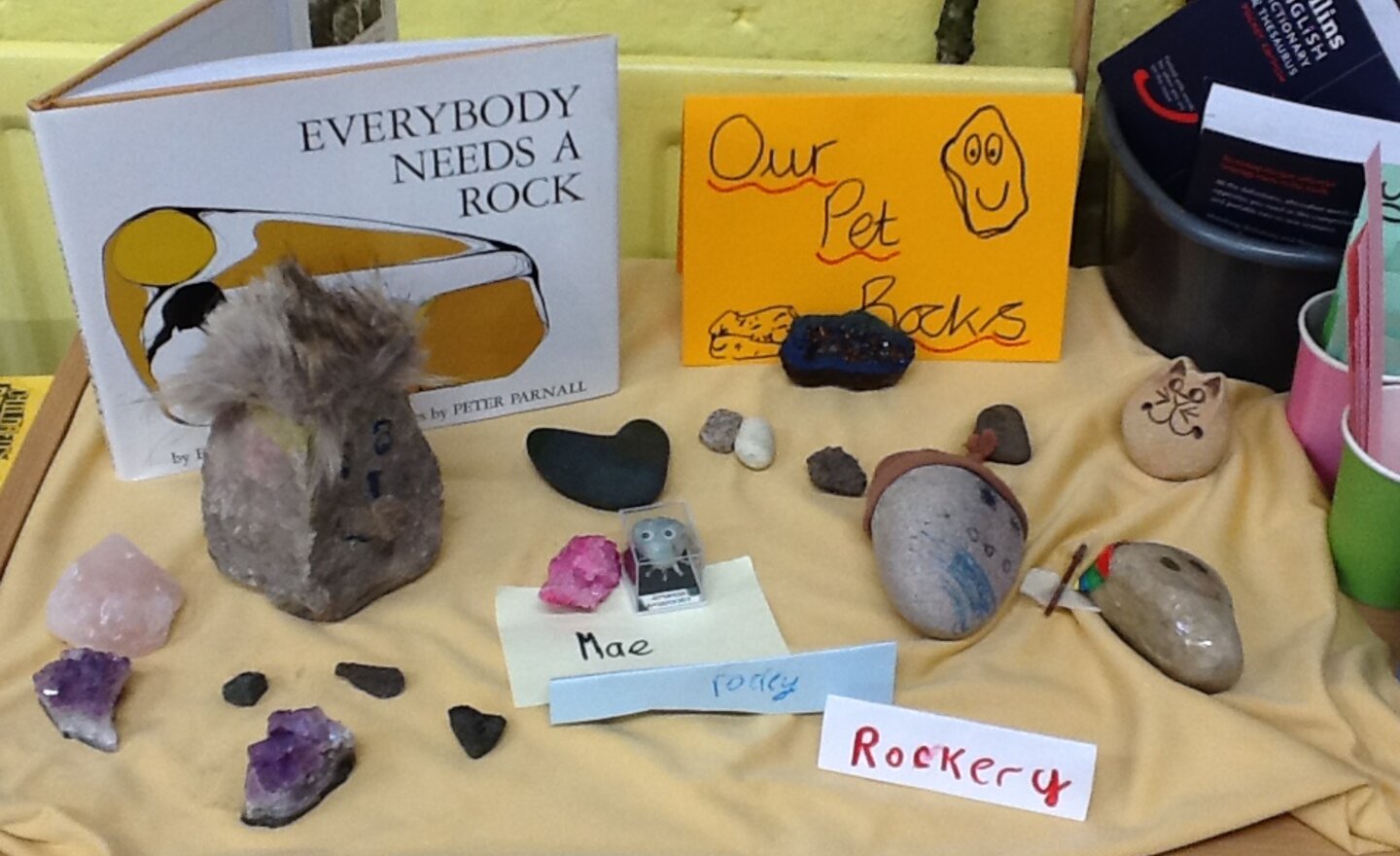 Image of Our Pet Rocks