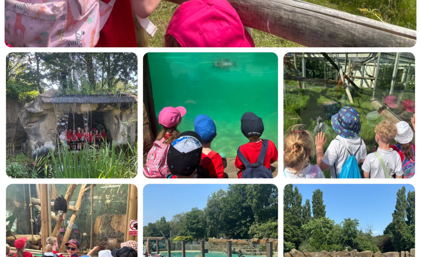 Image of Ash Class zoo trip