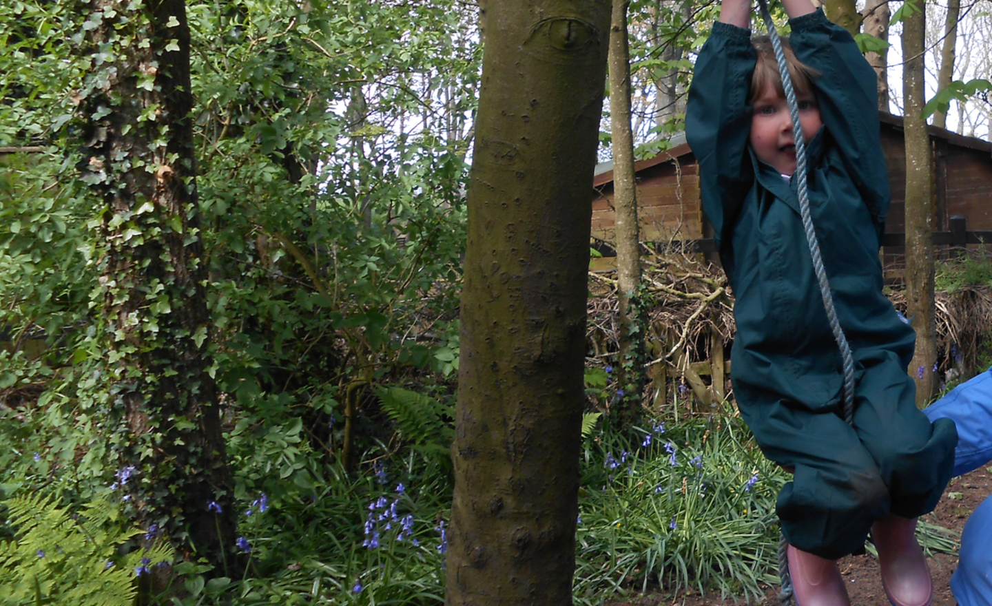 Image of Jack and the Beanstalk