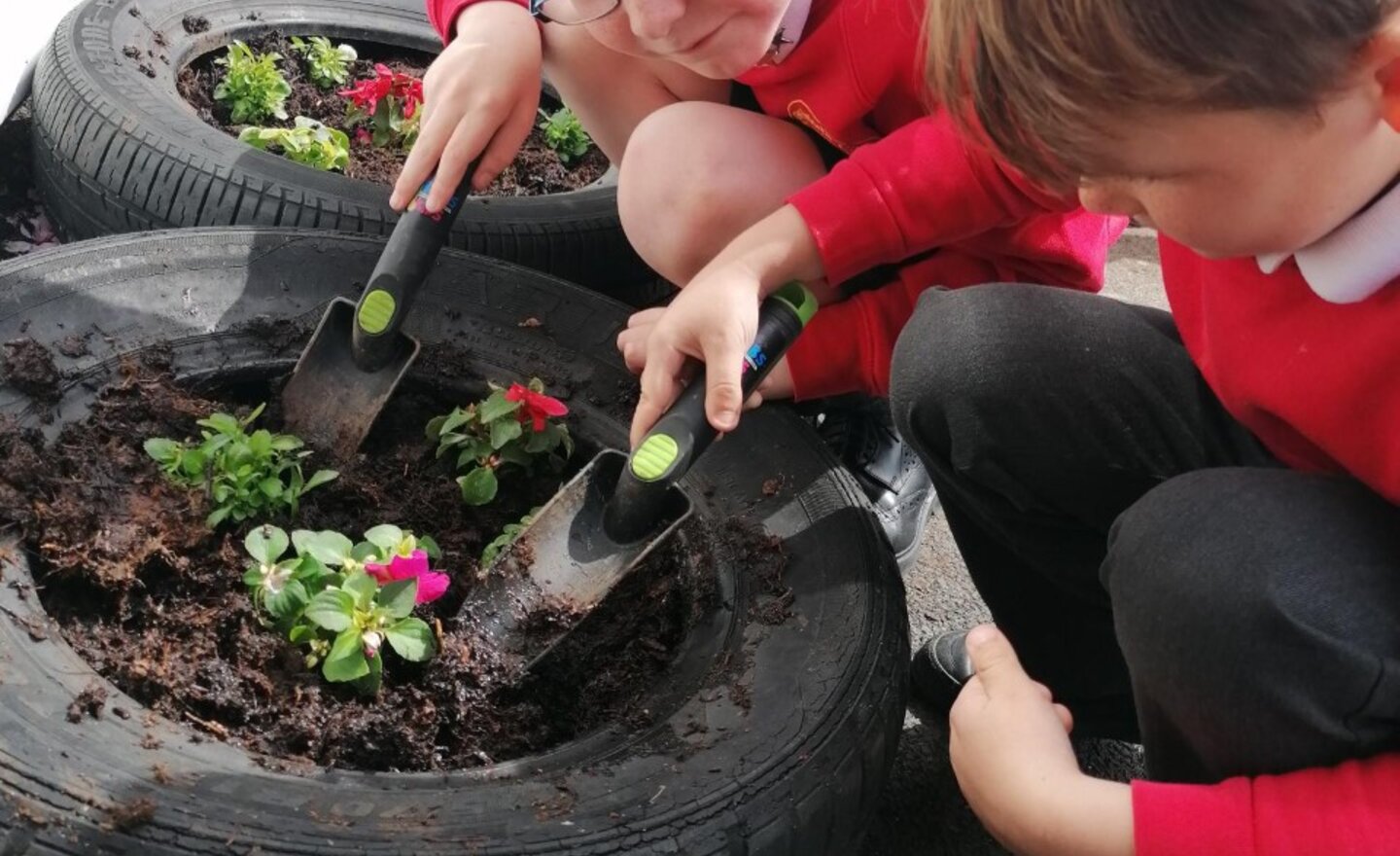 Image of Creating our flower bed