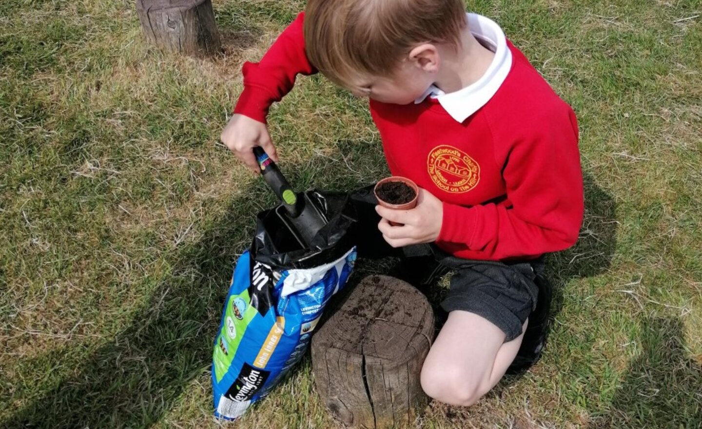 Image of Planting Sunflower Seeds