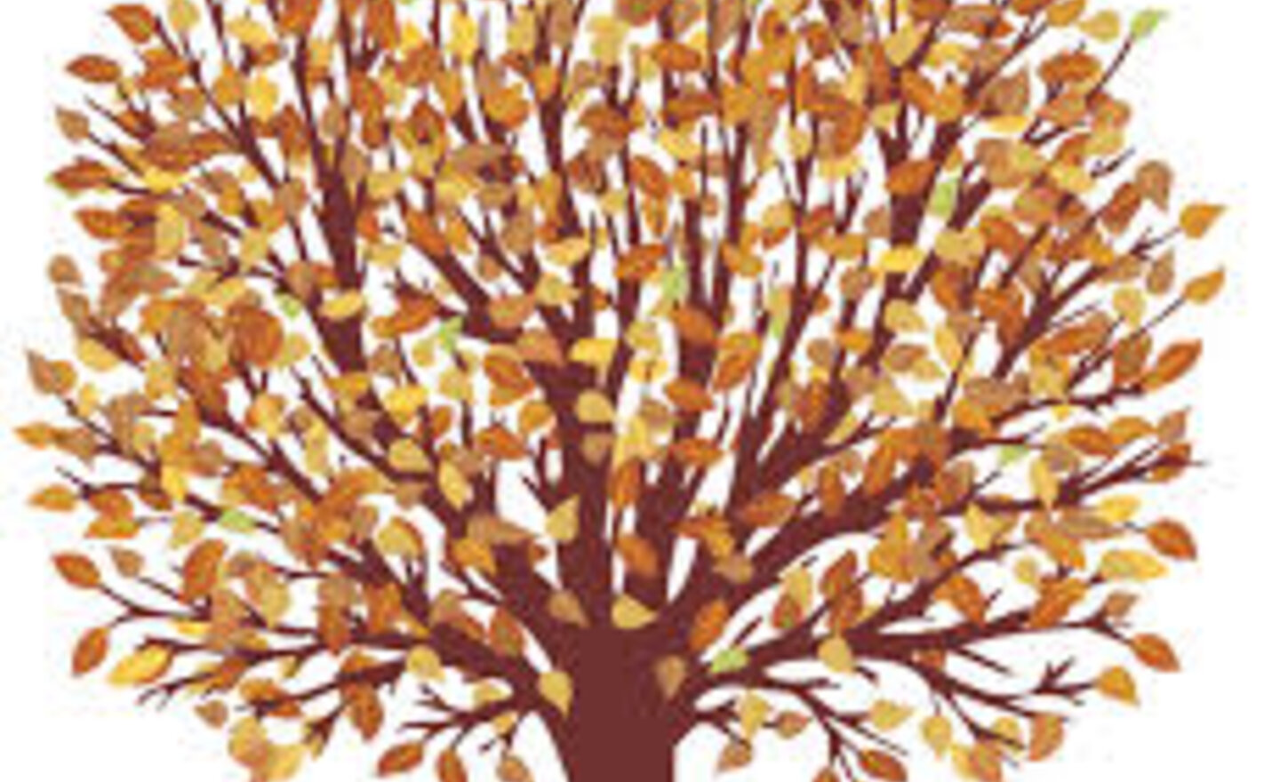 Image of Autumn Term 2 Curriculum Overview