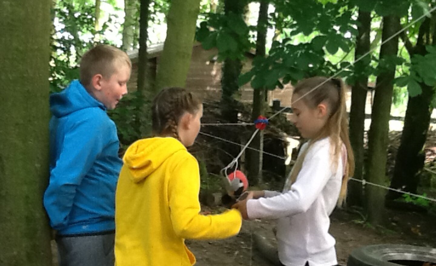 Image of Forest Session