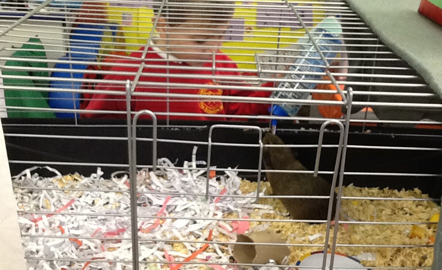 Image of Our little class friends part two