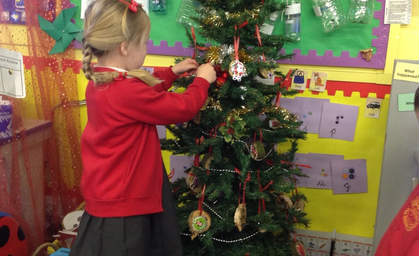 Image of Our Ash Class tree