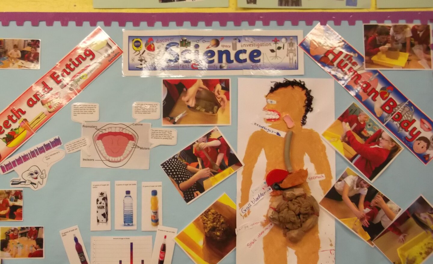 Image of Science Display