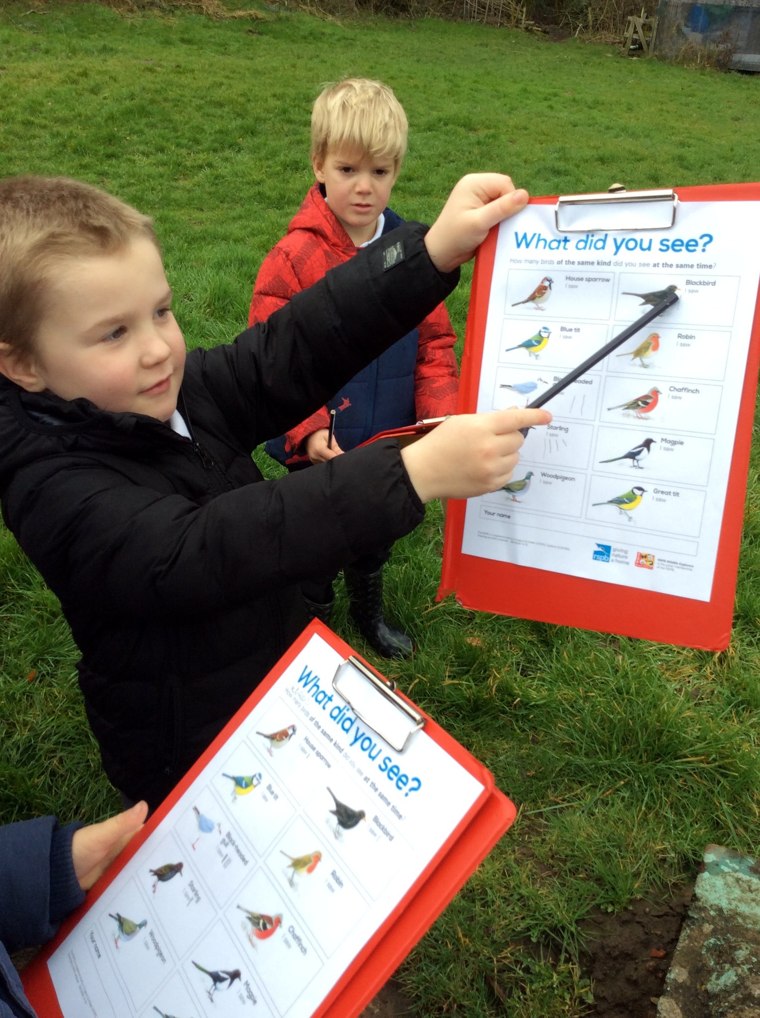 Image of Recording our findings....