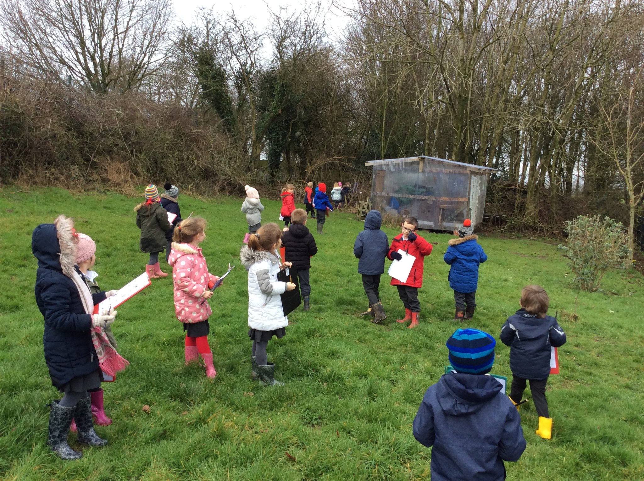 Image of We completed the BIG SCHOOL BIRDWATCH!!