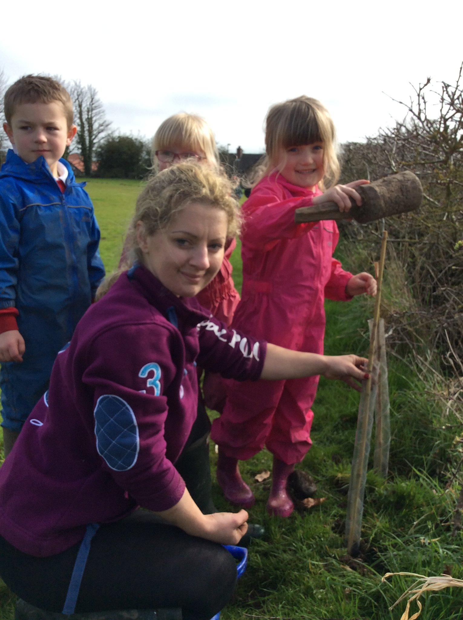 Image of Woodland Trust saplings!