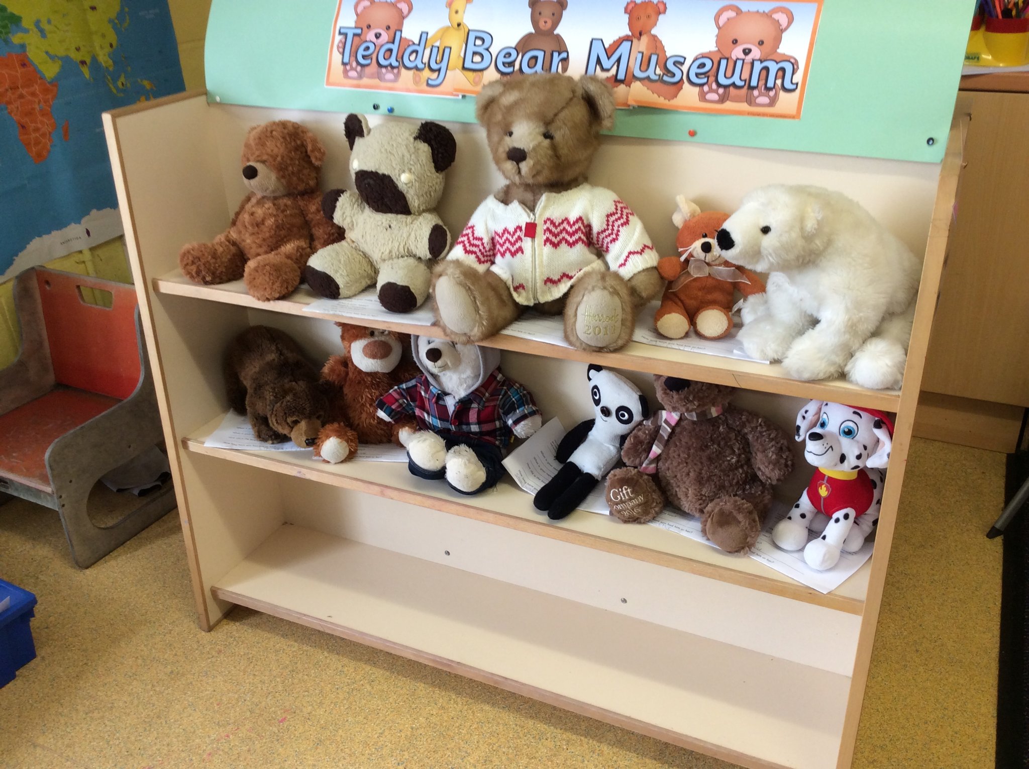 Image of Bears old and new!