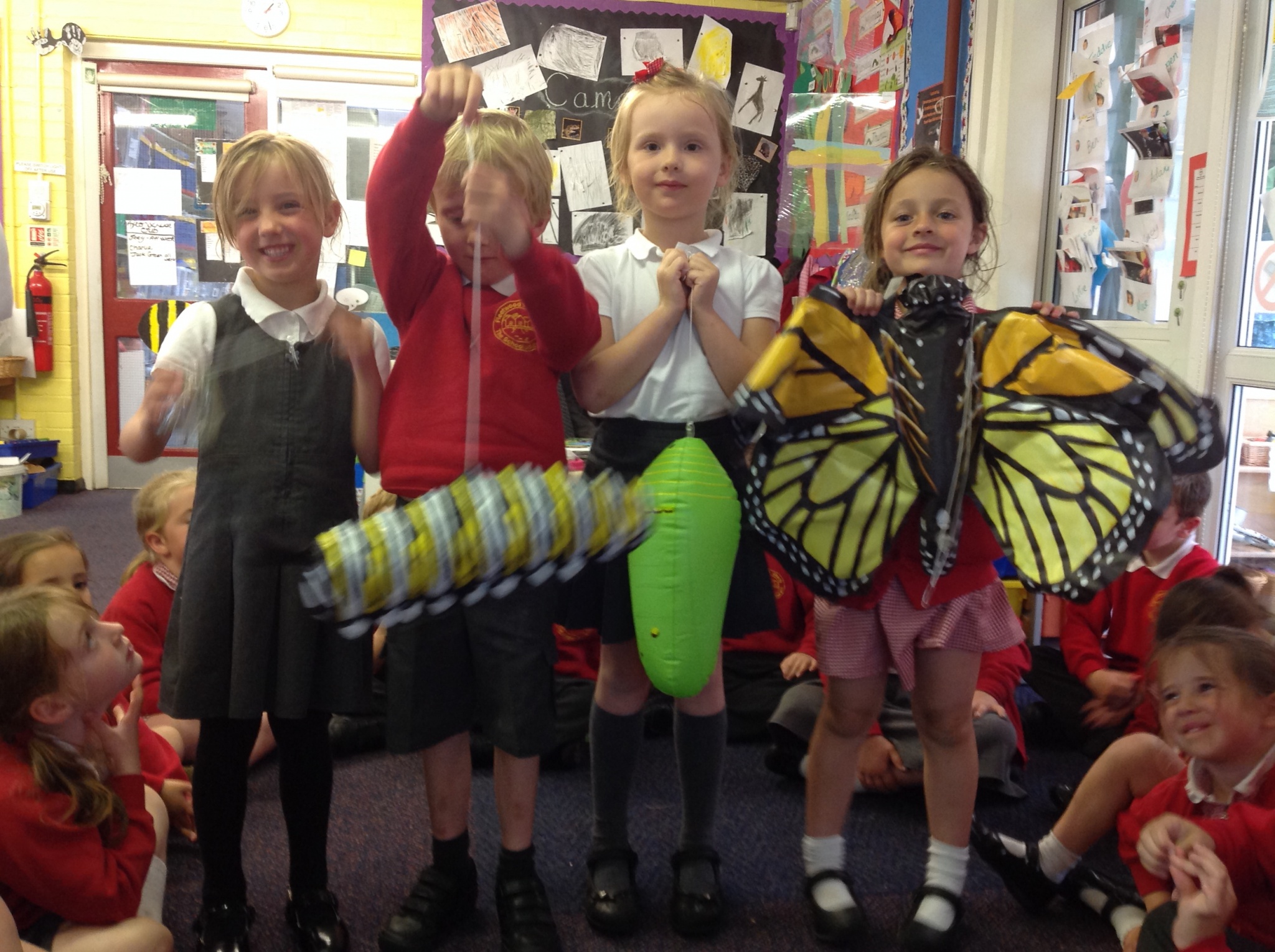 Image of From an egg to a butterfly...