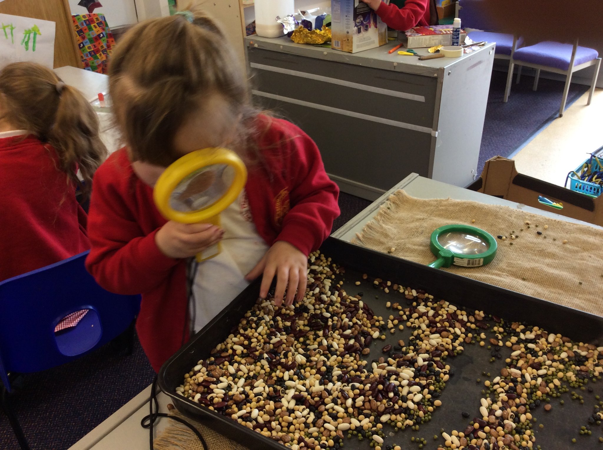 Image of Exploring Beans!