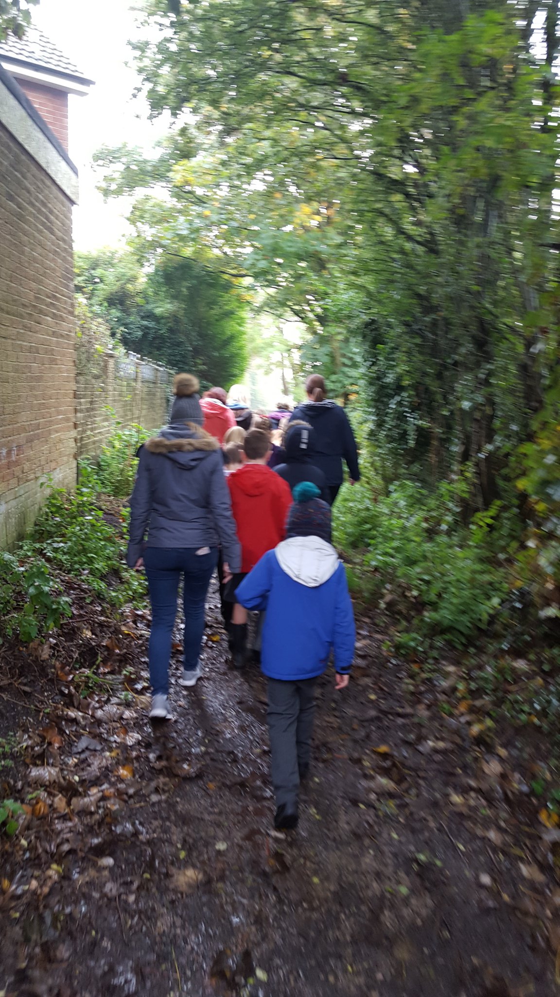 Image of Salt Mines Walk