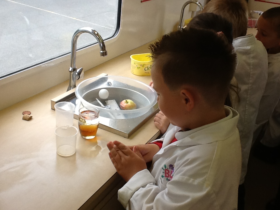 Image of Science is fun!