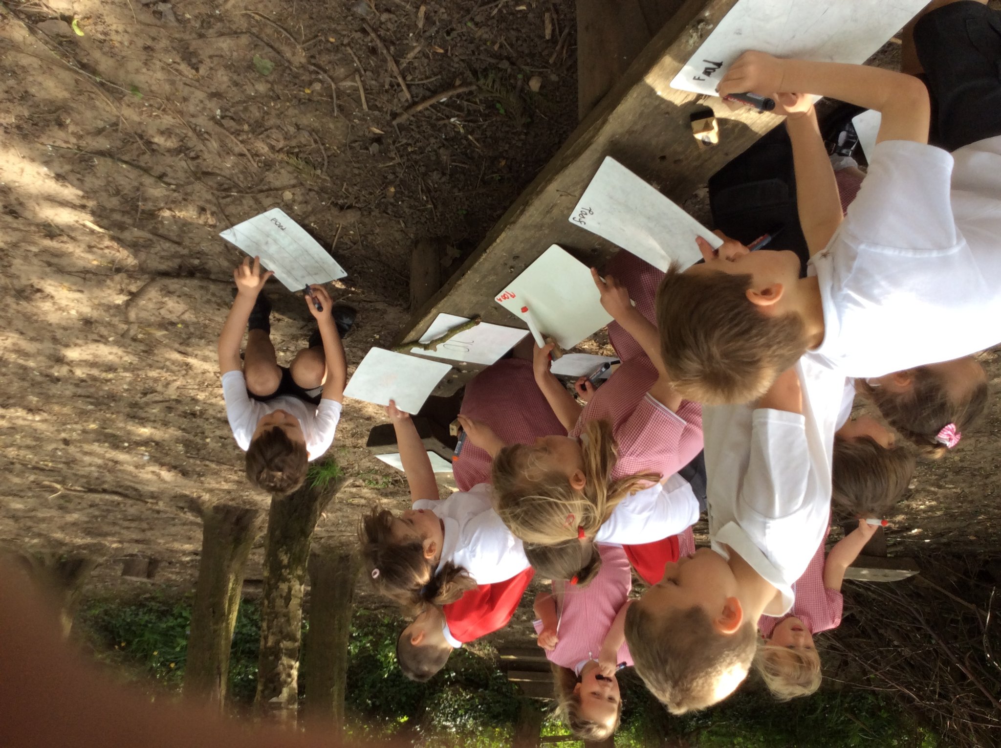 Image of Forest Phonics