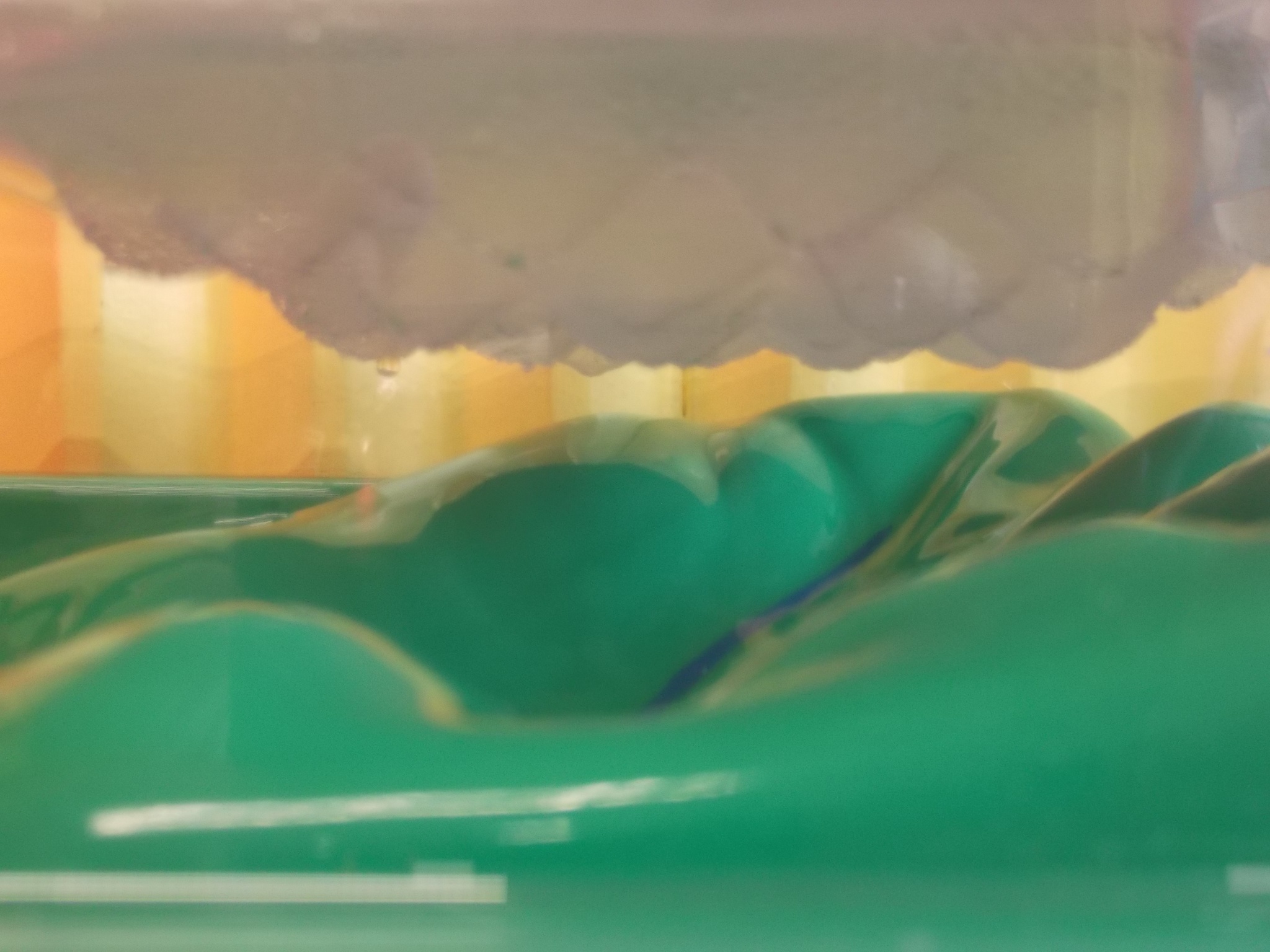 Image of The Water Cycle