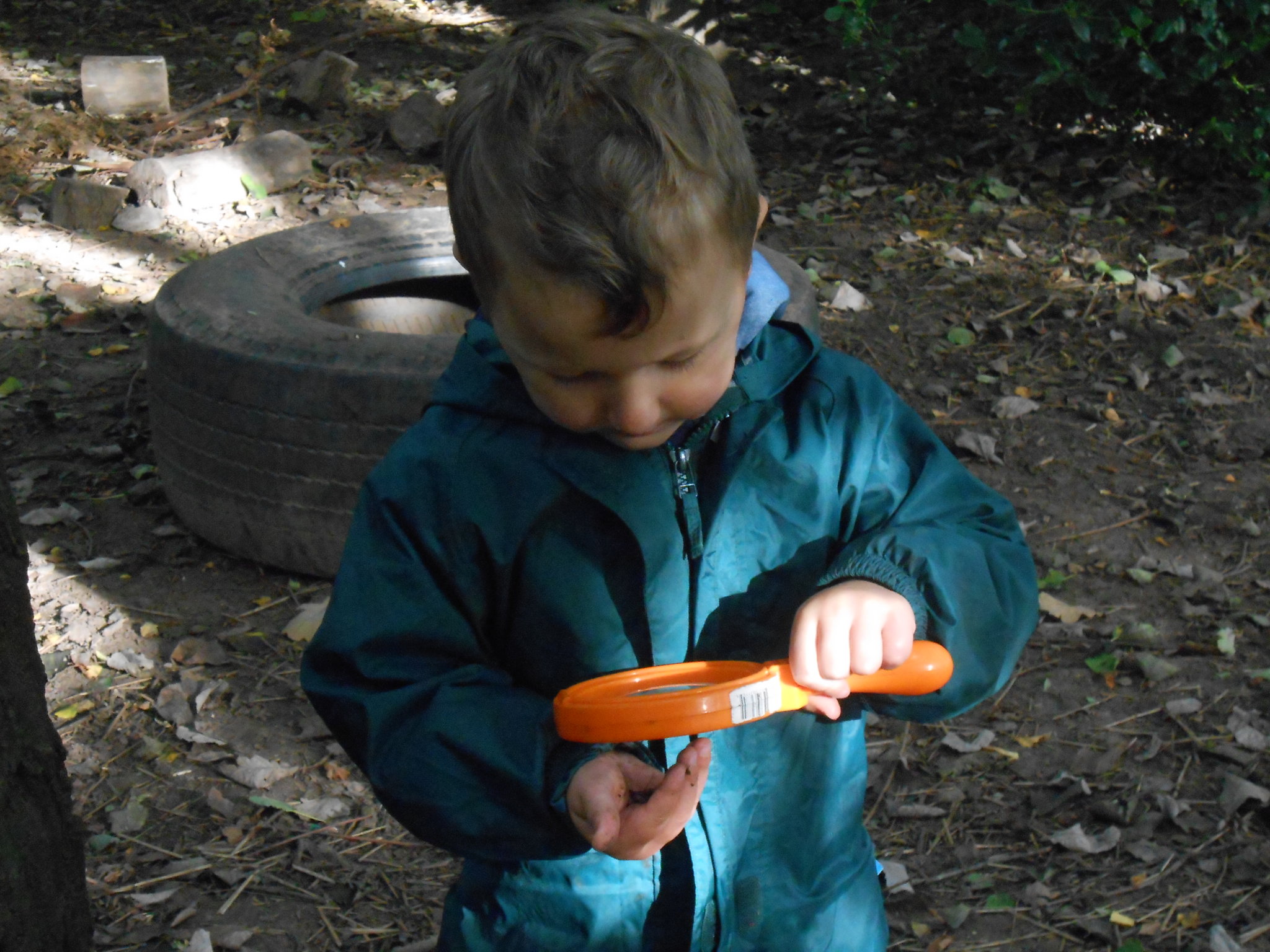 Image of Look what we find in the forest.