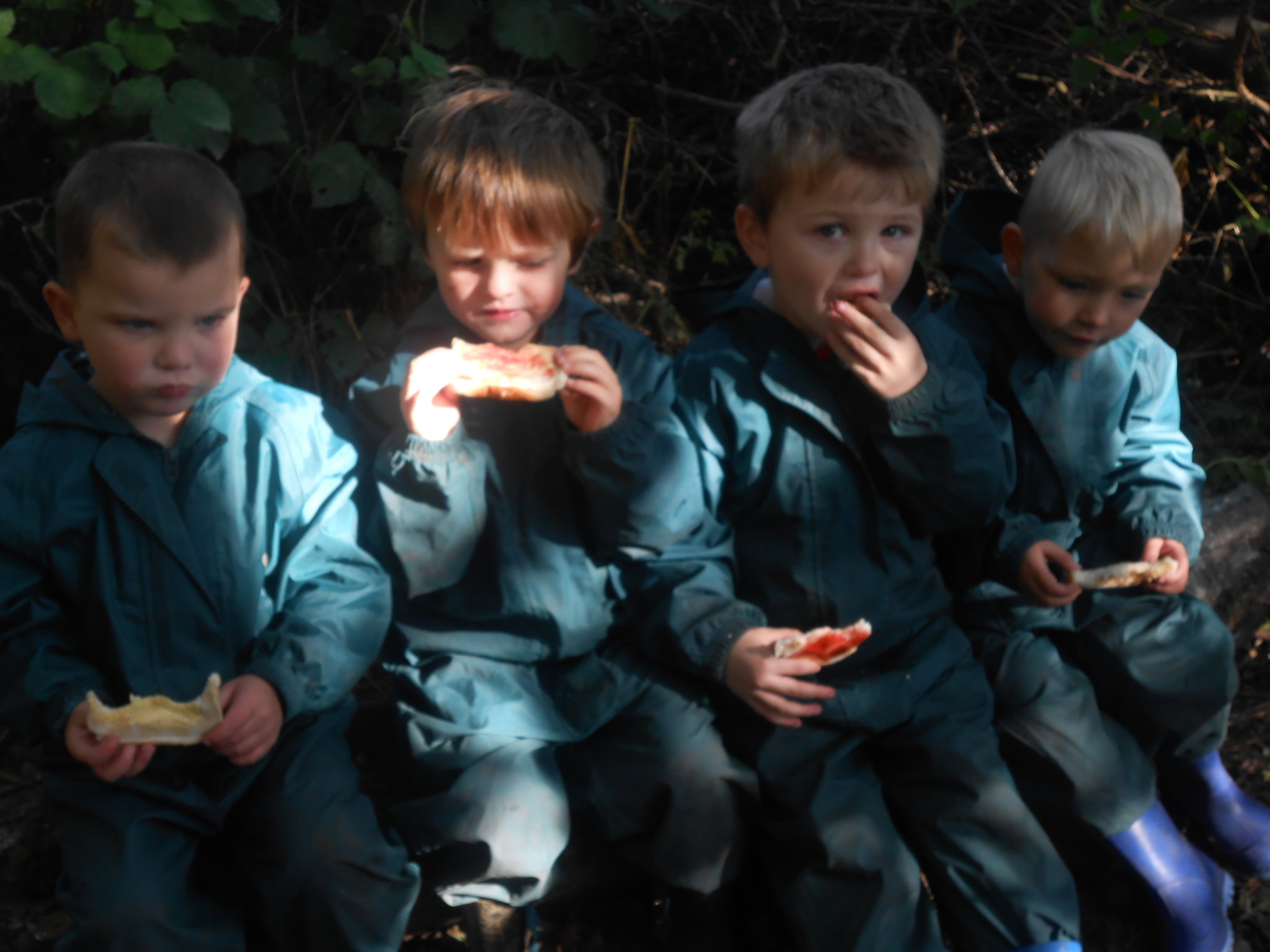 Image of Snack time in the forest