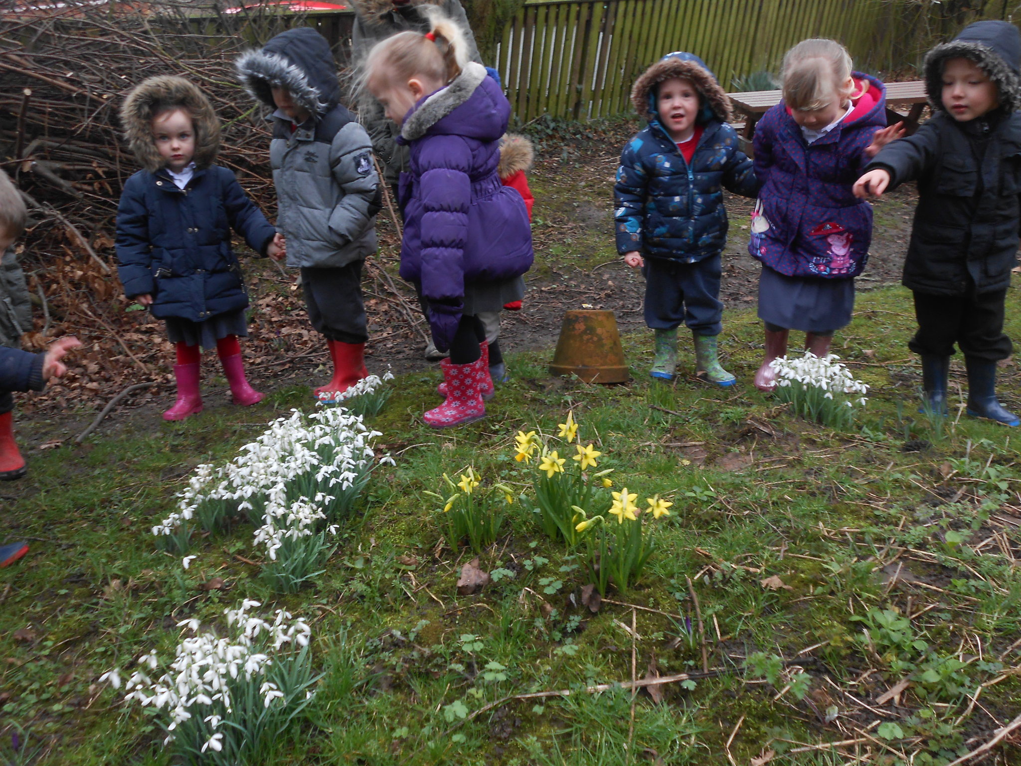 Image of Spring