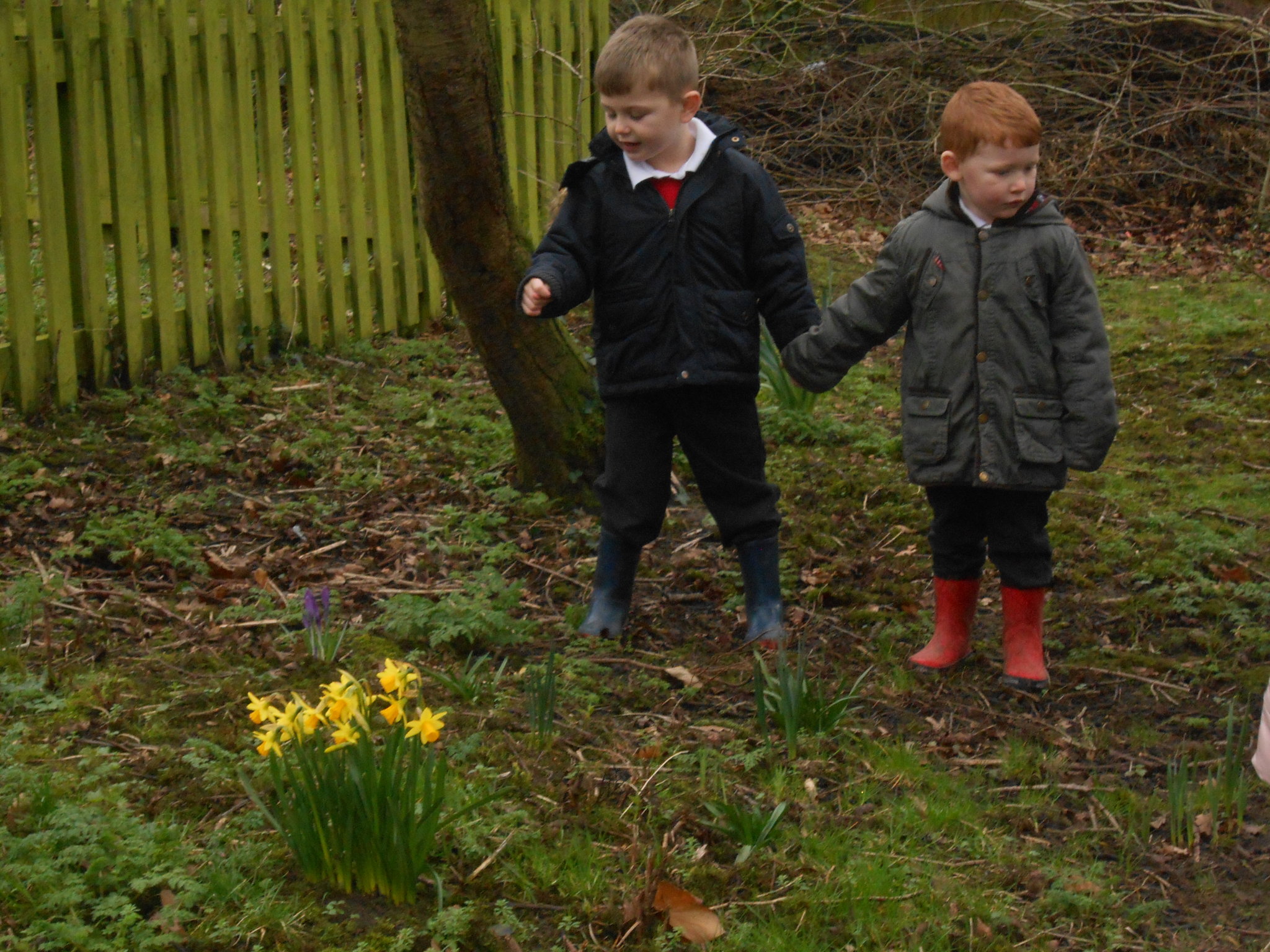 Image of Spring