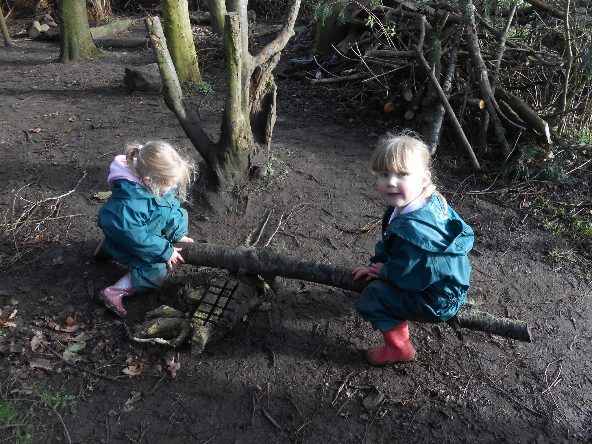 Image of Seesaw